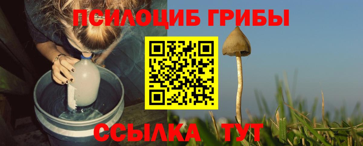 Псилоцибиновые грибы GOLDEN TEACHER  Галлюциногенные грибы мицелий  Кизляр  где найти   Вход с VPN 